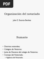 Organización Del Notariado