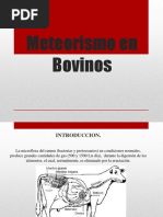 CLASE 12 Meteorismo en Bovinos