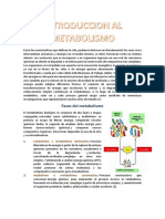 Introduccion Al Metabolismo