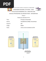 Práctica de Laboratorio #04 - Principio de Arquimedes - UNA PUNO