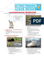 Contaminación Ambiental 1