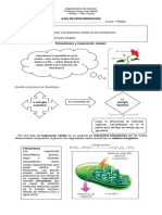 Guía de Profundización I Medio