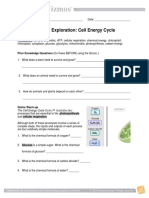 Cell Energy SE