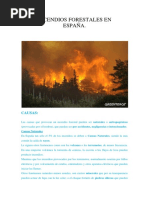 Incendios Forestales