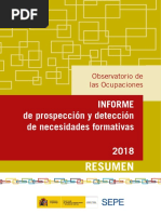 Informe Resumen Necesidades Formativas