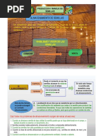 Almacenamiento de Semillas