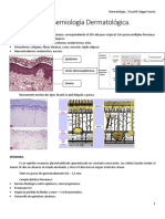 Clase 1 - Introducción y Semiología Dermatológica