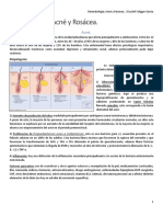 Clase 2 - Acné y Rosácea