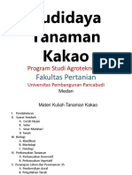 Tugas Kakao Mata Kuliah Perekebunanpptx