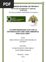 La Responsabilidad Civil Por La Deforestacion Como Daño Ambiental Puro en El Peru