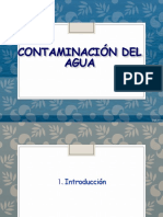 Contaminación Del Agua