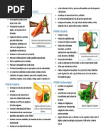 Funciones de Las Vitaminas Liposolubles