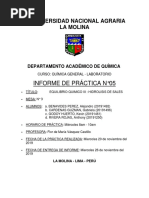 Informe 11