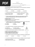 Evaluacion 4to Sitema Esqueletico