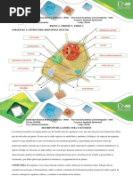 Anexo 2 Unidad 2. Tarea 2