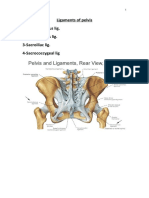 ANATOMY: Pelvic 2