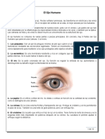 El Ojo Humano y Resolución de Imagen