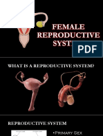 Female Reproductive System