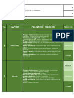 Formato para Elaborar Un Profesiograma