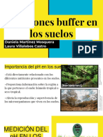 Soluciones Buffer en Los Suelos