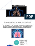 Sistema Respiratorio