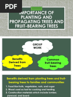 Importance of Planting and Propagating Trees and Fruit-Bearing (Autosaved)