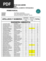 1 Parcial 1-19 PDF