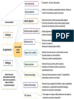 Fisiología Del Envejecimiento