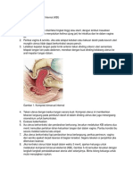 Kompresi Bimanual Internal