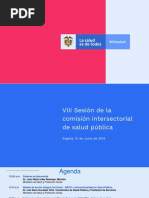 Estrategias Intersectoriales en Salud Pública MAITE PDF