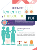 M16 - S3 - Sistema Reproductor Femenino y Masculino PDF