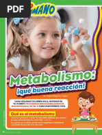 Muy Interesante Junior Mexico 2018 Diciembre Metabolismo PDF