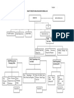 DRAFT STRUKTUR ORGANISASI BLUD RSUD SIDIKALANG Perbaikan