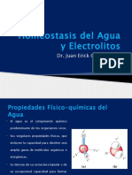 Homeostasis Del Agua y Electrolitos