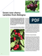 Seven New Cherry Varieties From Bologna