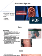 Enfermedades Del Sistema Digestivo JY