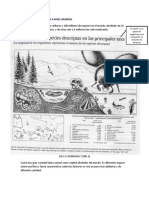 Distribución de Especies A Nivel Mundial