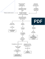 Pathway Efusi Pleura