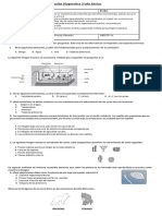 Evaluacion Diagnostica 5° Año CIENCIAS NATURALES 2020