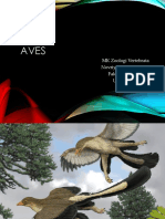 Aves PDF