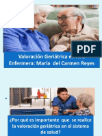 Enfermera María Del Carmen Reyes VGI APS PDF