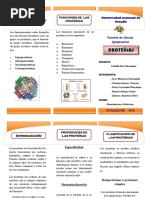 Triptico Proteinas PDF