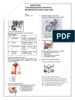 9.1.1 Organ Reproduksi Pada Laki Laki