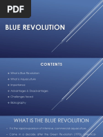 Blue Revolution