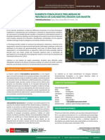 HD 2 2016 Capirona PDF