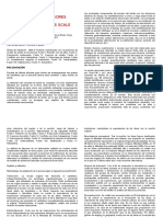 Escala de Estresores Laborales Test PDF