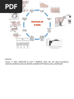 Biosintesis de La Leche