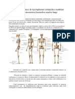 Solutii Biomecanice de Tip Implanturi Ortopedice Modulare Pentru Osteosinteza Fracturilor Oaselor Lungi