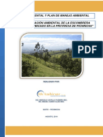 Ficha y Plan de Manejo Ambiental Escombrera Solahuaico PDF