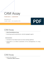 CAM Assay